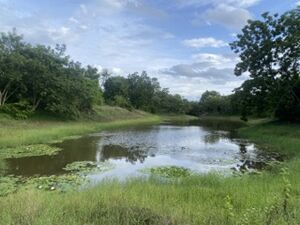 Picturesque serene property adjacent to year around pond 