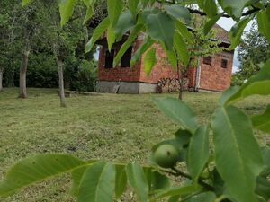 Lovely orchard, ready to move in