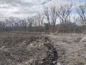 Two neighboring building plots, Krivnia dorf, Varna district