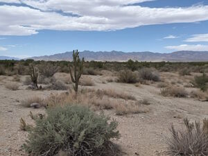 1 Acre of Residental Land near Deming, NM