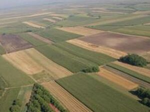 Fields of 4 and 1.3 ha in Šabac