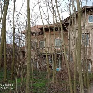 Bulgarian Ovcha mogila village Svishtov, Solid House