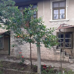 Two storey cozy House 5 minutes from Veliki Preslav