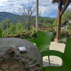 Household for sale with a view of the Ljig-Dici Mine, Serbia