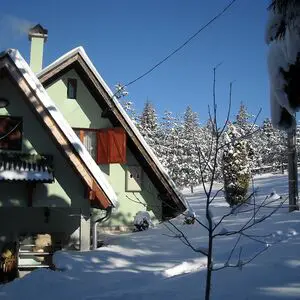 House for sale Zlatibor-selo Sainovci, Serbia