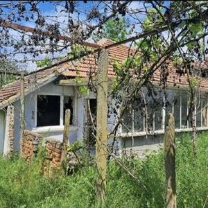 One-Storey House for renovation, 20Km from Yambol city, yard