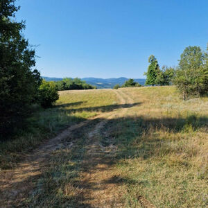 Plot of 3000m2, near Elena Town, Veliko Tarnovo province