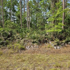  "Interlachen Estates Lot 24: Prime 0.22 Acre Vacant Lot wit