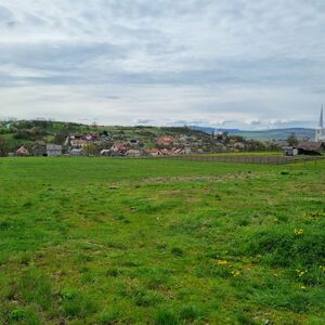 Plot of land For Sale 6000m2 Romania