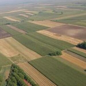 Fields of 4 and 1.3 ha in Šabac