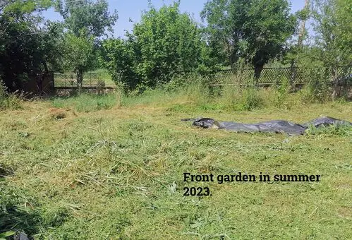 Front garden in summer 