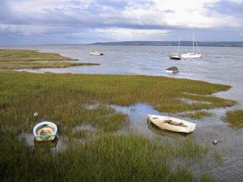 Loughor Estuary